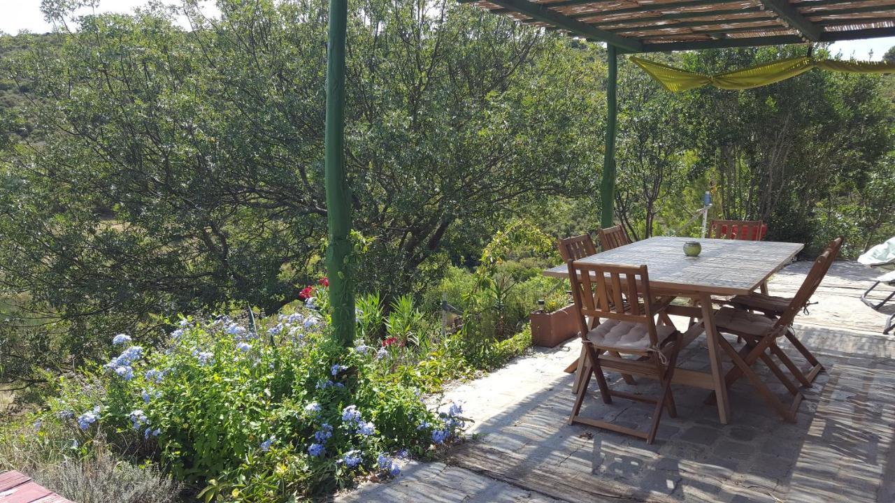 Bed and Breakfast La Loubiere, Ancienne Bergerie En Pleine Garrigue Fraissé-des-Corbières Exterior foto