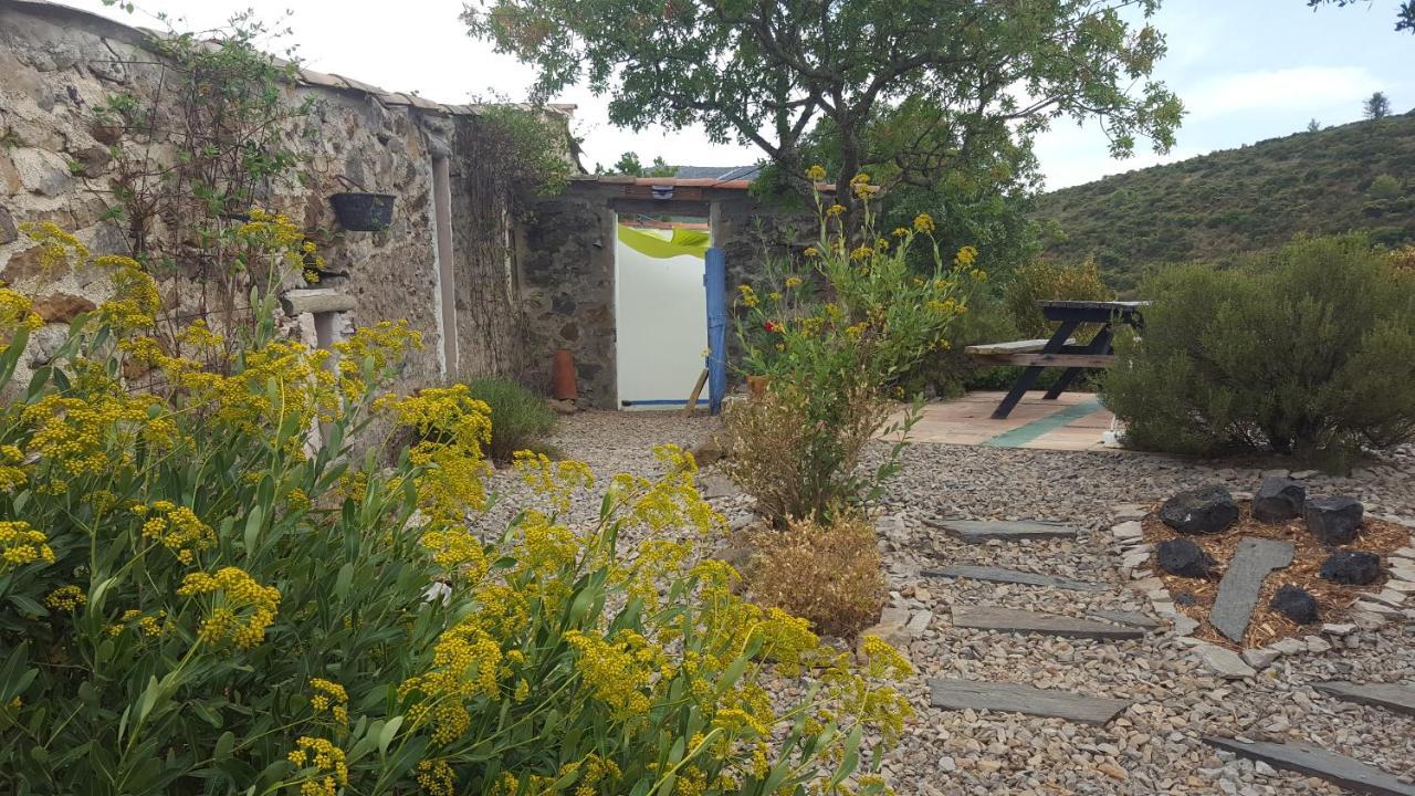 Bed and Breakfast La Loubiere, Ancienne Bergerie En Pleine Garrigue Fraissé-des-Corbières Exterior foto